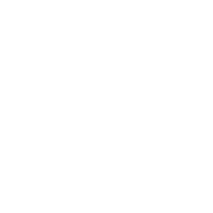 DS_logo_final-3-300x300